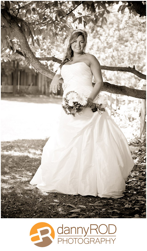03-31-12shanebridals-gruene-blog-01